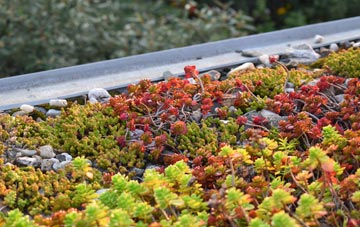 the cost of Sutton St Nicholas green roof installation