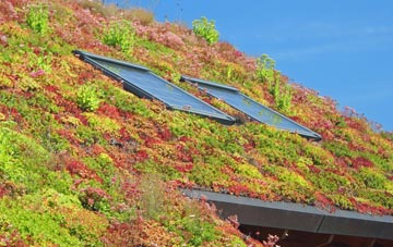 Sutton St Nicholas living roof systems