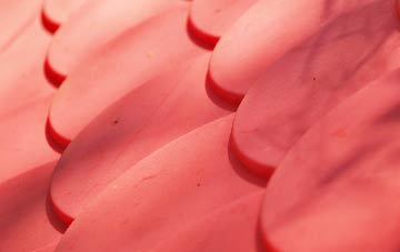 Sutton St Nicholas plastic roof costs