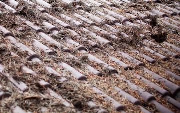 Sutton St Nicholas roof cleaning companies