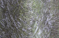 Sutton St Nicholas fibreglass roof work